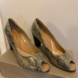Women’s Pumps